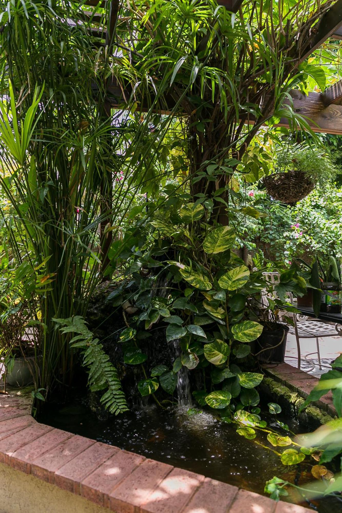 Botanic Bliss Living In Kingston Lejlighed Eksteriør billede