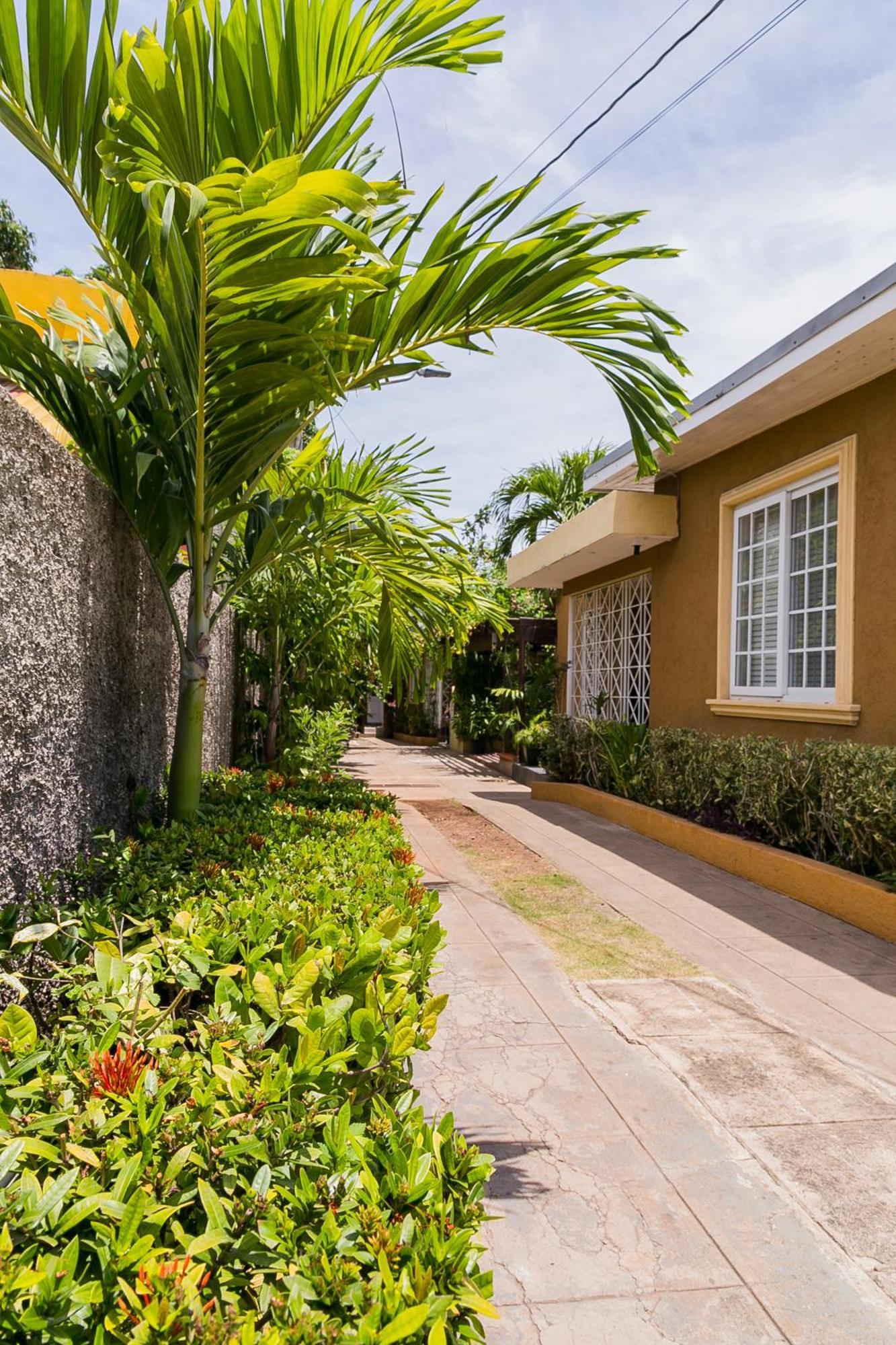 Botanic Bliss Living In Kingston Lejlighed Eksteriør billede